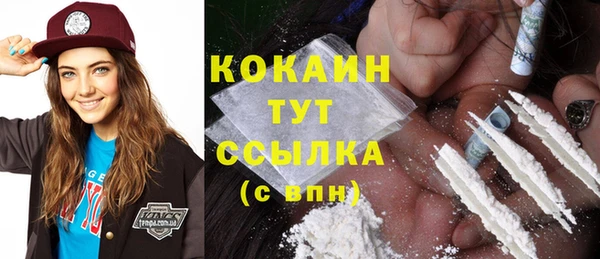 сатива Абаза