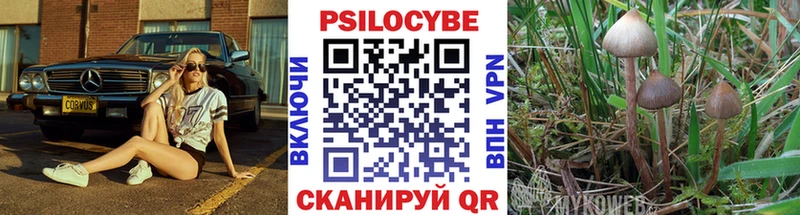 Галлюциногенные грибы мухоморы  закладки  ссылка на мегу   Нерчинск 